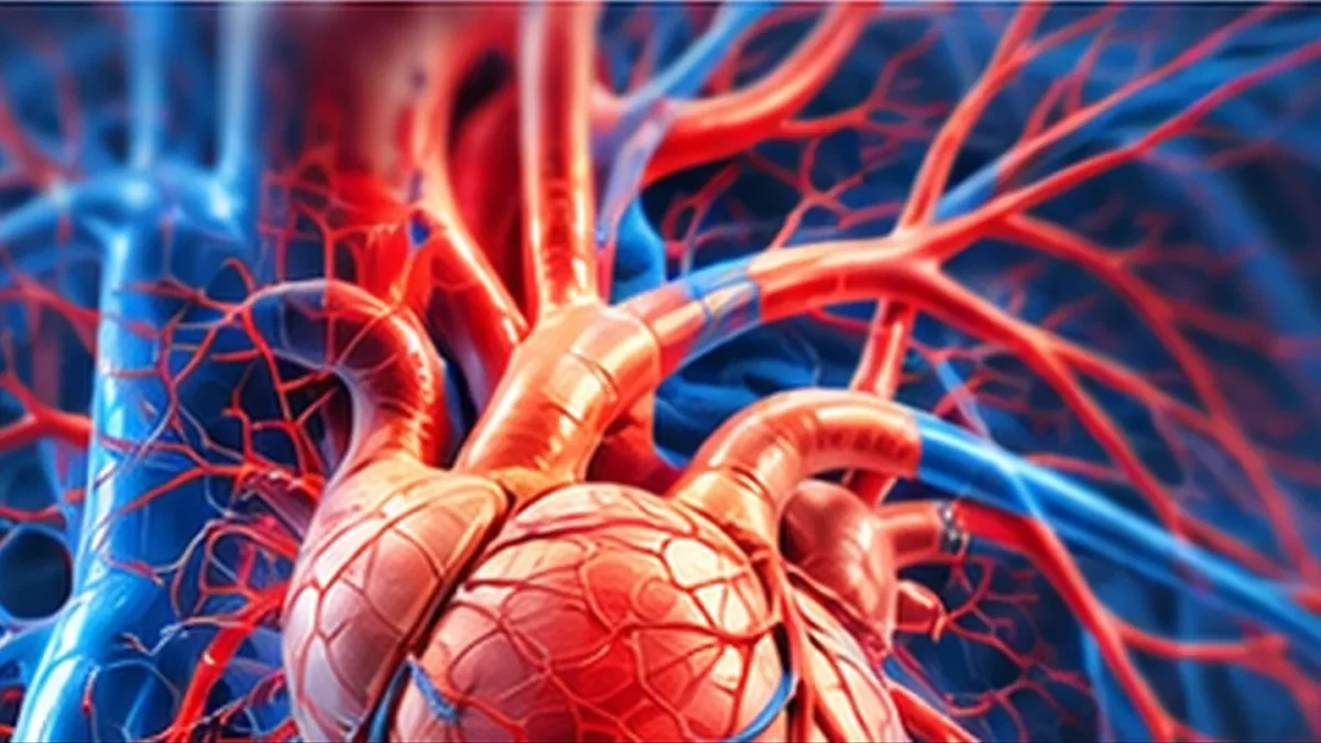 Chirurgie cardiovasculară – inimă și vase mari
